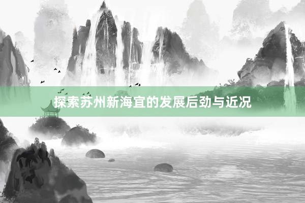 探索苏州新海宜的发展后劲与近况